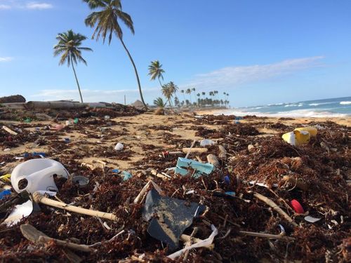 Circular economy explained; is it the future of business?